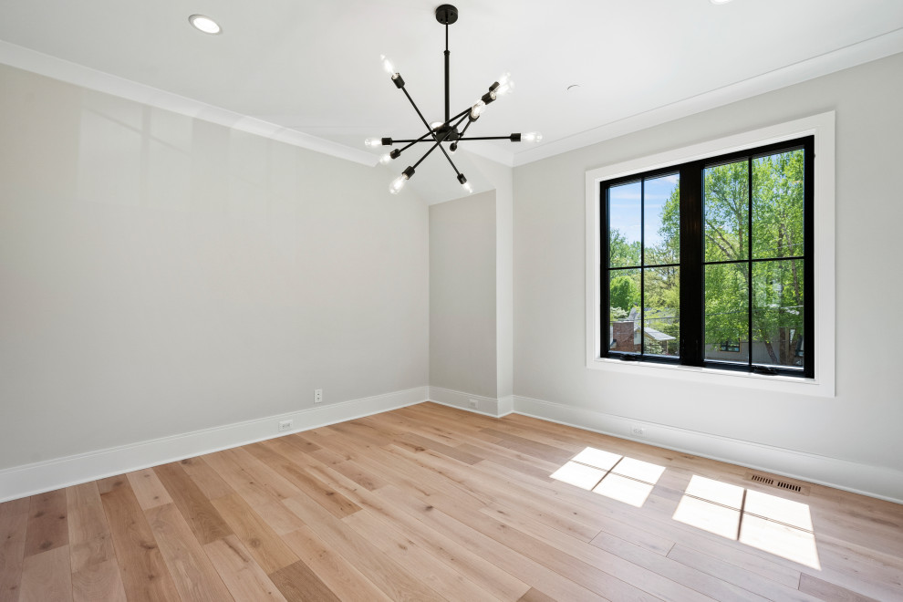 Modern Farmhouse Rochester V