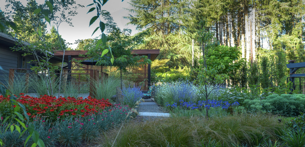 Esempio di un giardino xeriscape moderno esposto in pieno sole di medie dimensioni e davanti casa in estate con un ingresso o sentiero