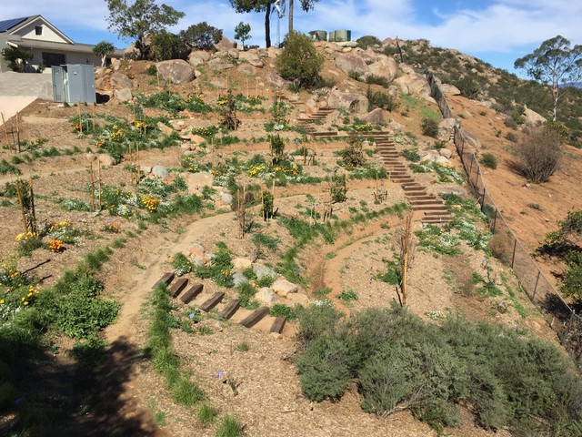 Casa Aguila Ramona Food Forest modern-garten