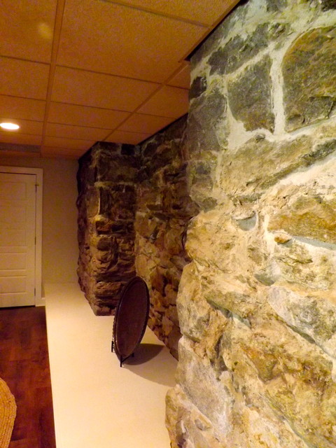 Exposed Rock Wall in Basement - Traditional - Basement - charlotte - by ...