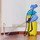 Affordable Pest Control Perth