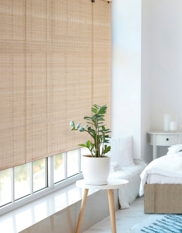 TRADITIONAL BLINDS