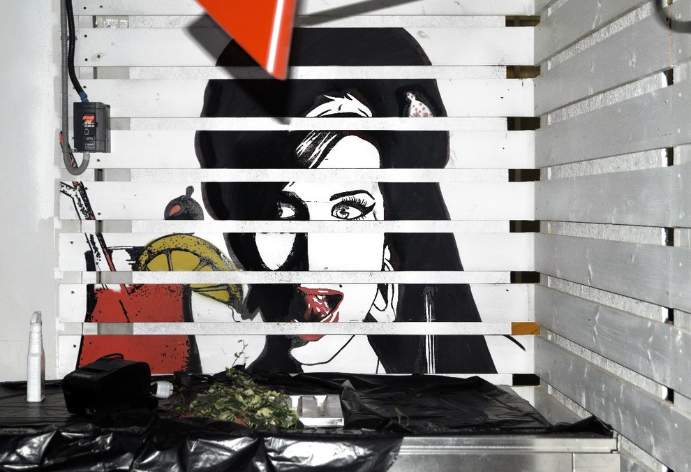 Оформление ресторана Funny Cabany, Москва