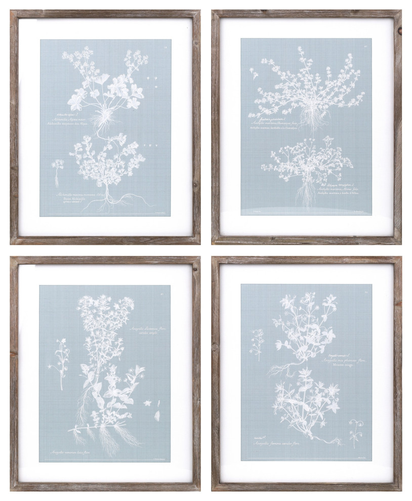 Framed Floral Print, 4Piece Set Contemporary Prints And Posters