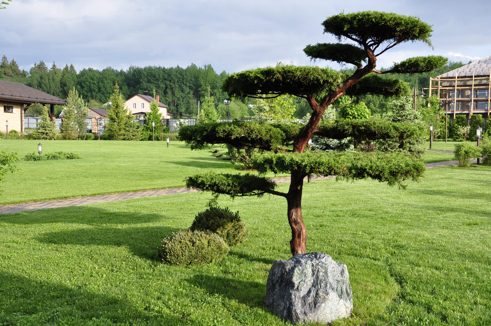 кп "Папушево" - Профессиональный уход за садом - 100% качество!