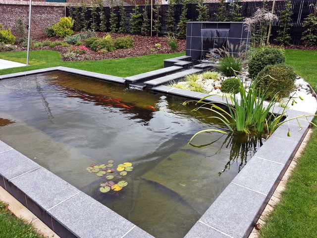 bassin de jardin avec lame d'eau