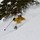 ryan_martens61