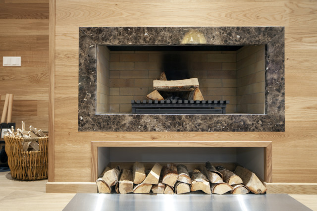 Fireplace moderno-salon