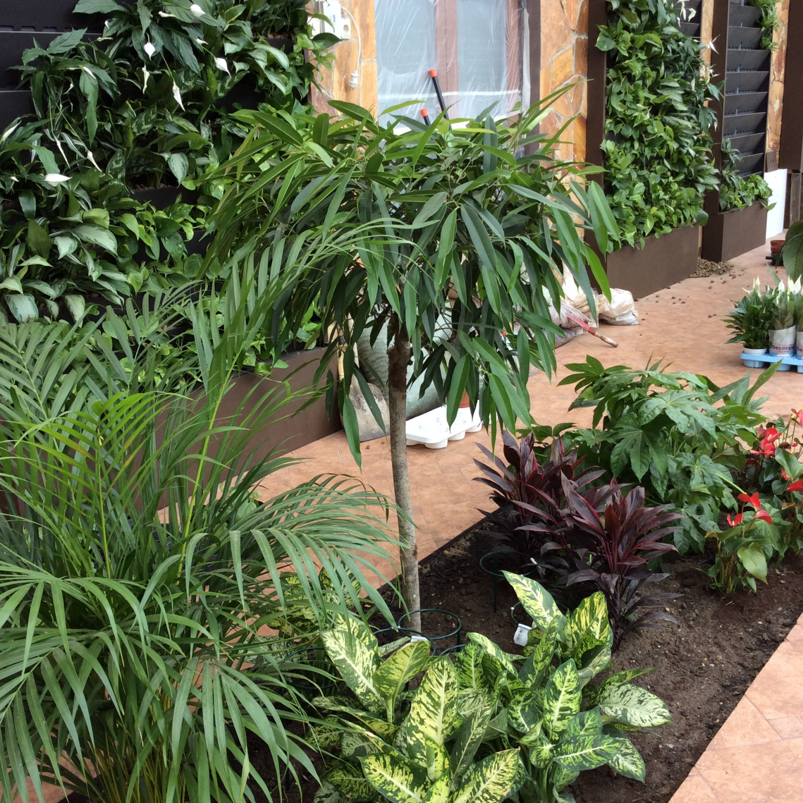 Зимний сад. Калининец