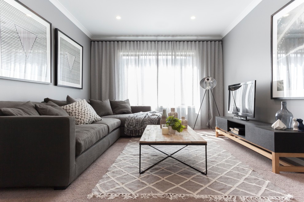 Inspiration for a contemporary enclosed living room in Melbourne with grey walls, carpet, a freestanding tv and beige floor.