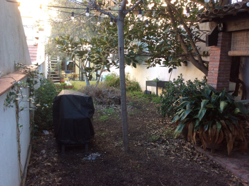 木に覆われていた細長い庭を 日光浴を楽しめるスペースに Houzz ハウズ