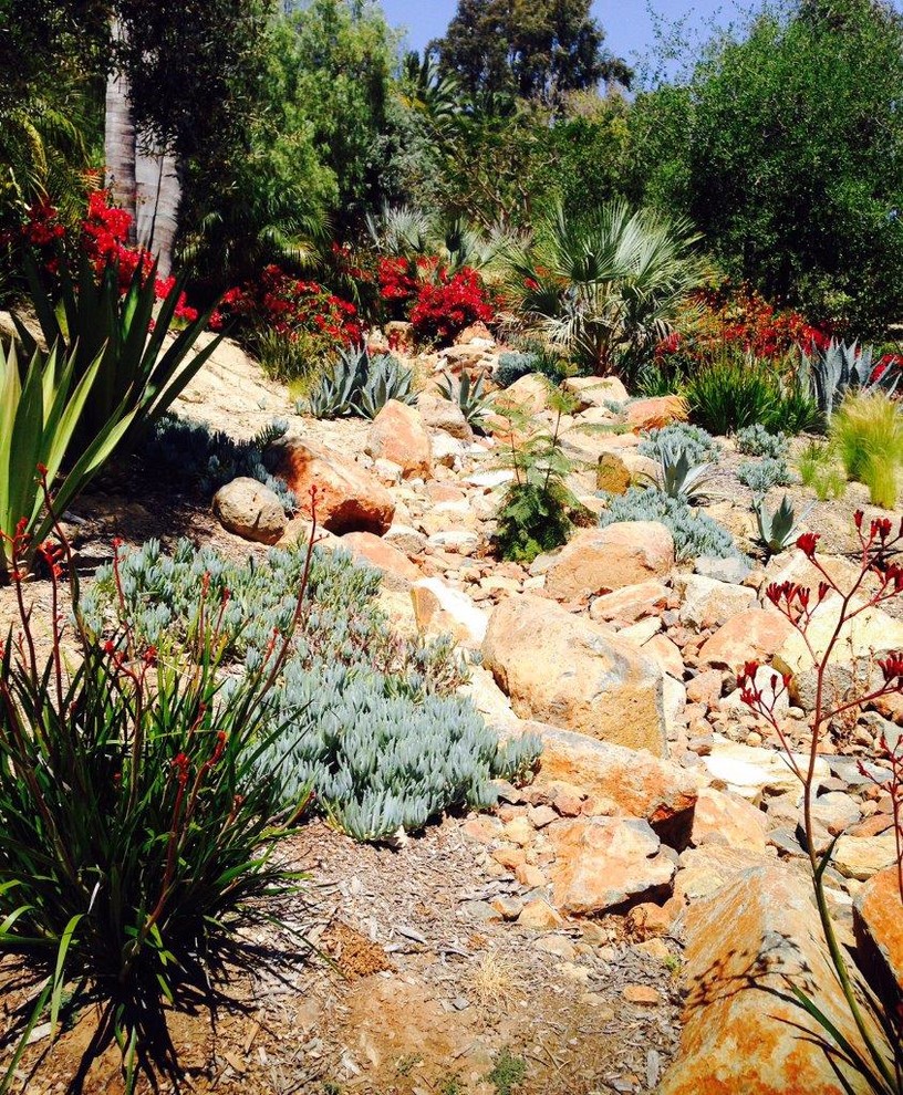 Photo of a tropical landscaping in San Diego.