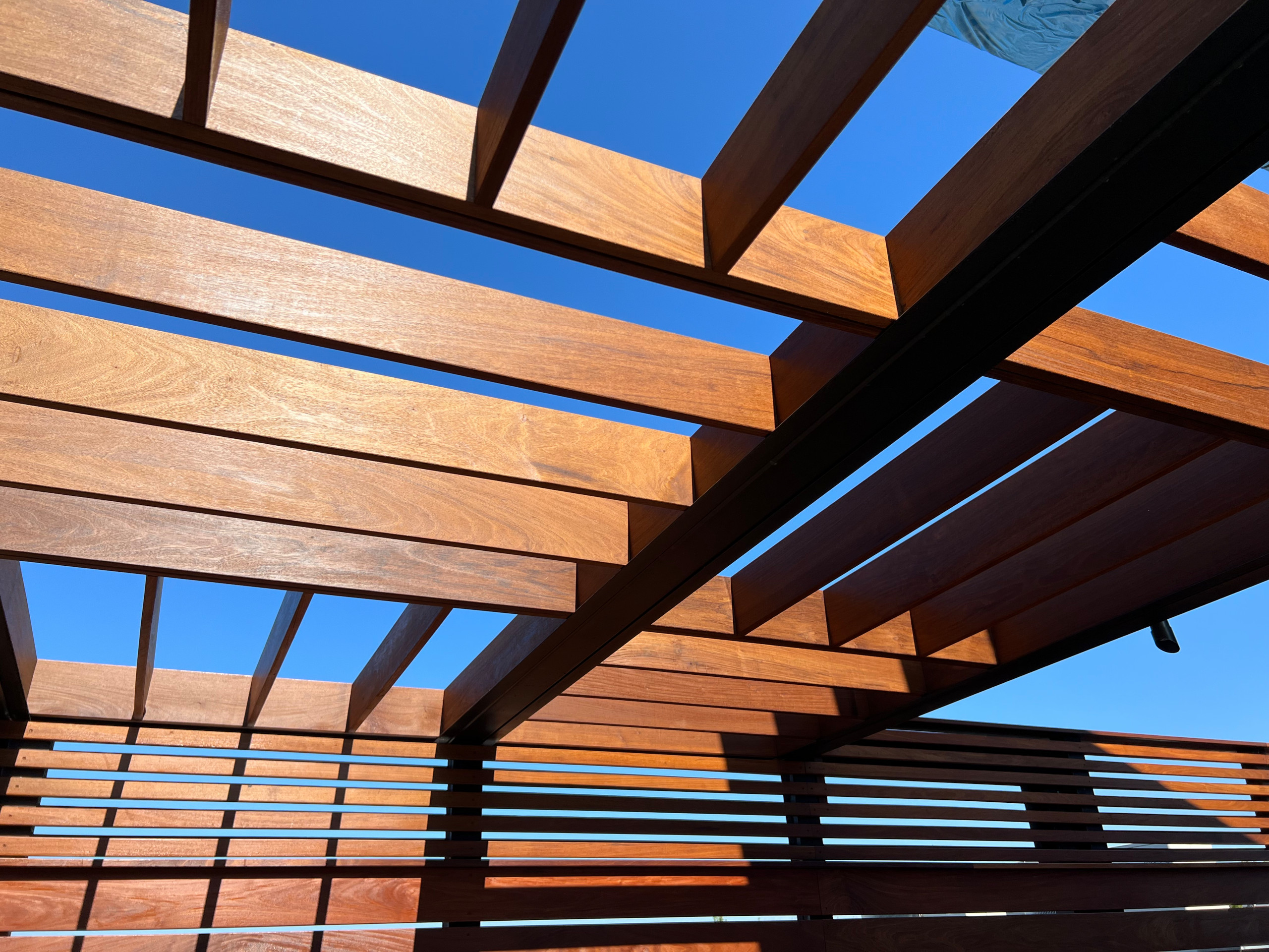Borough Park Modern Rooftop