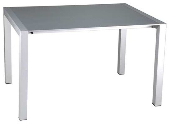 Euro Style Devon Extension Table, Silver Aluminum Finish