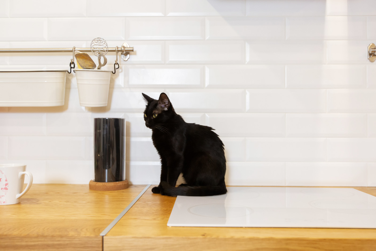 Дизайнерский ремонт в ЖК "Пять звезд", кухня-гостиная, Воронеж