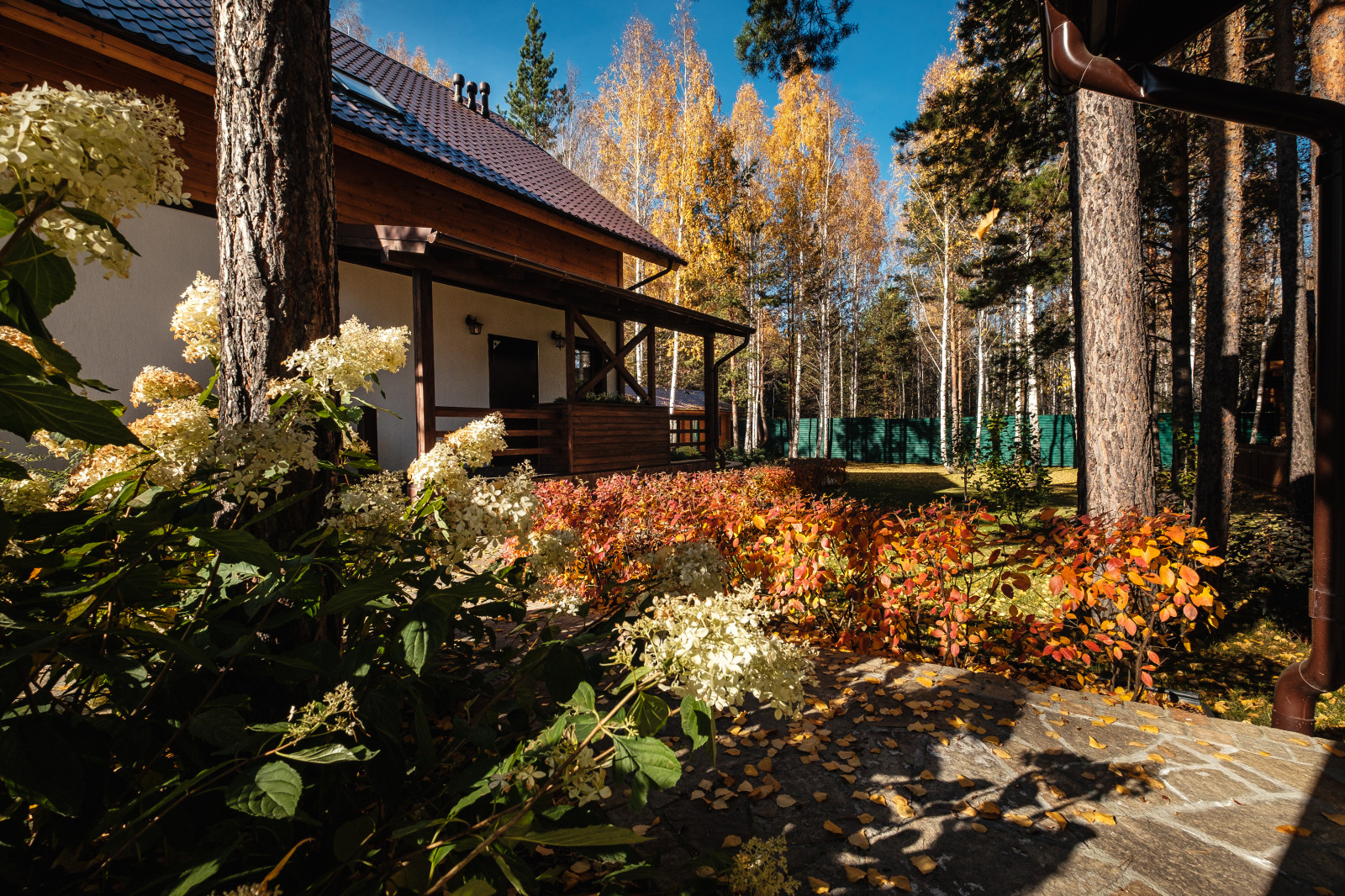 У леса на опушке