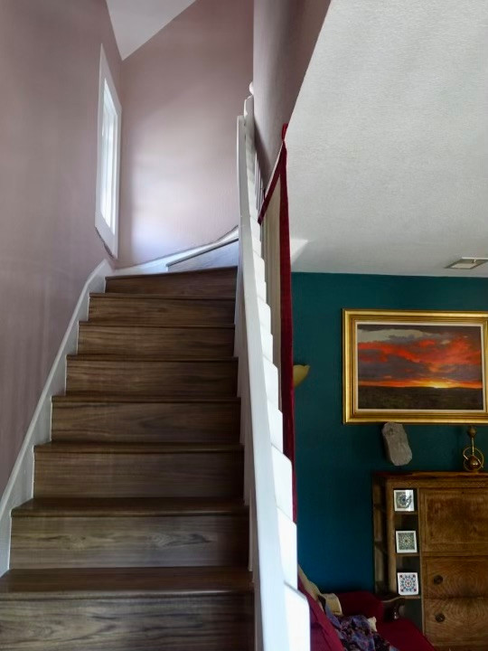 Emergency Mold Mitigation Rainbow House Repaint