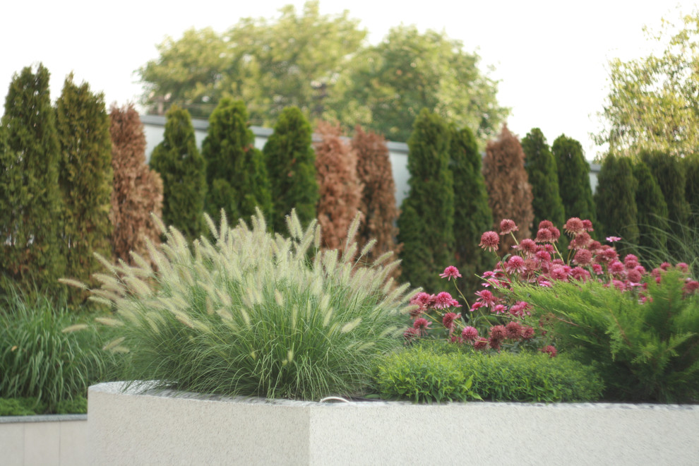 landscape design - Kirovskoe_Dnepropetrovsk region