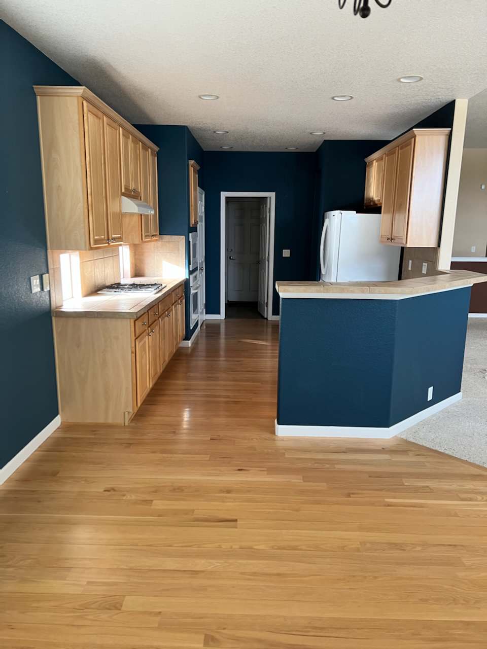 Before Kitchen Layout