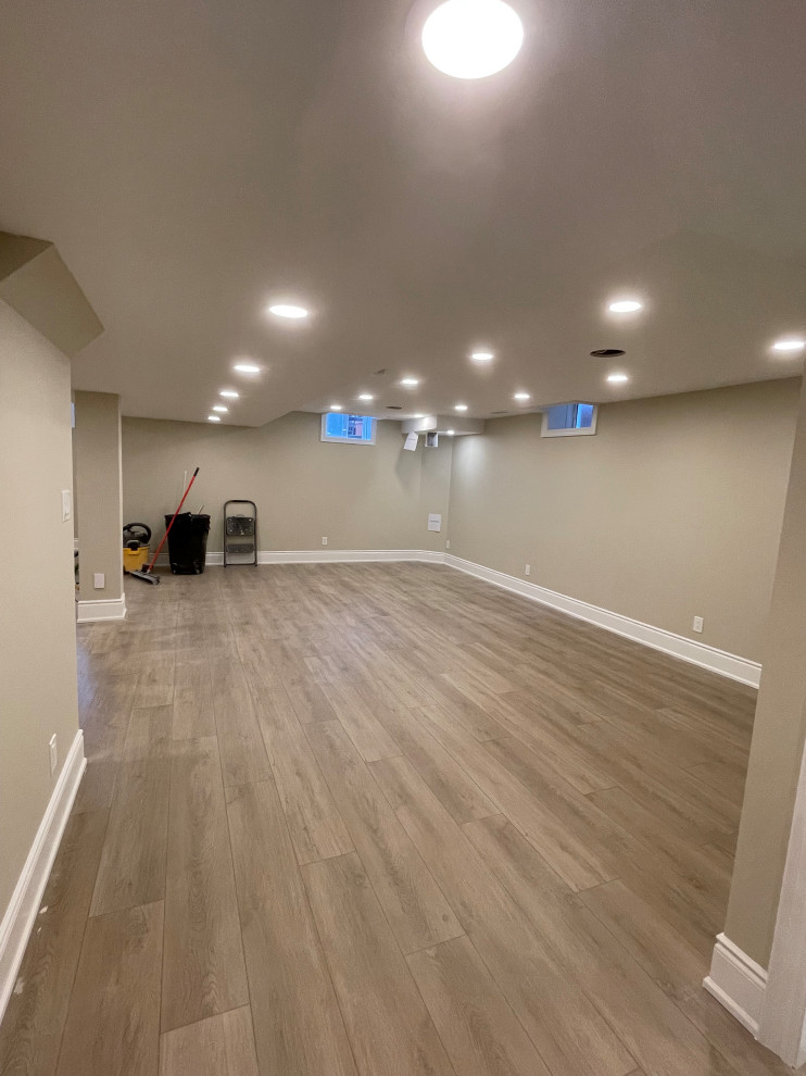 Meadowlands Basement