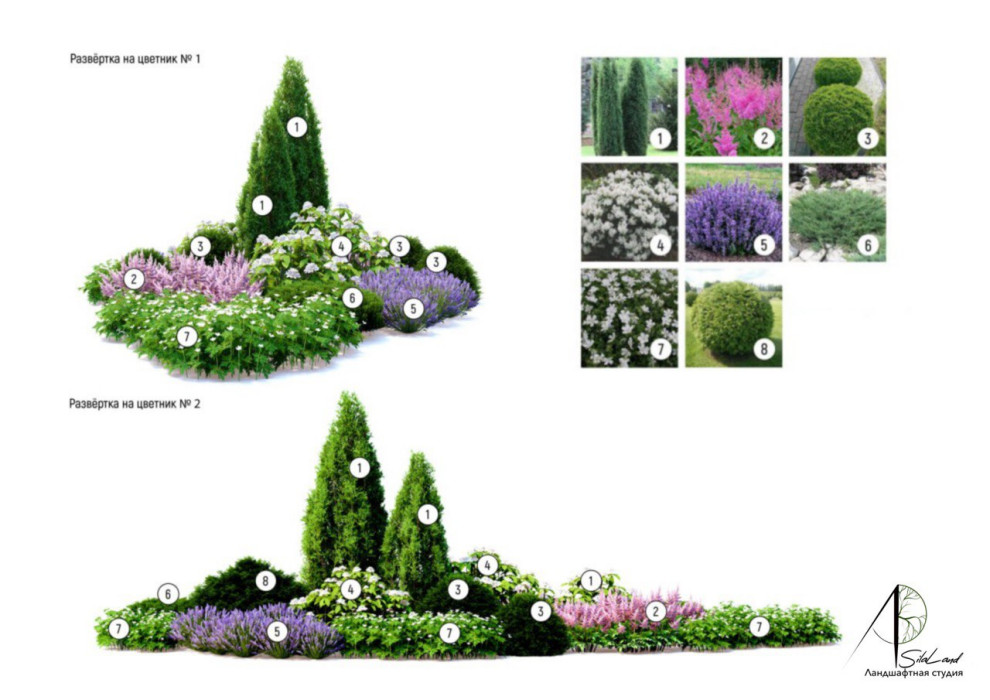 Солнце в кронах