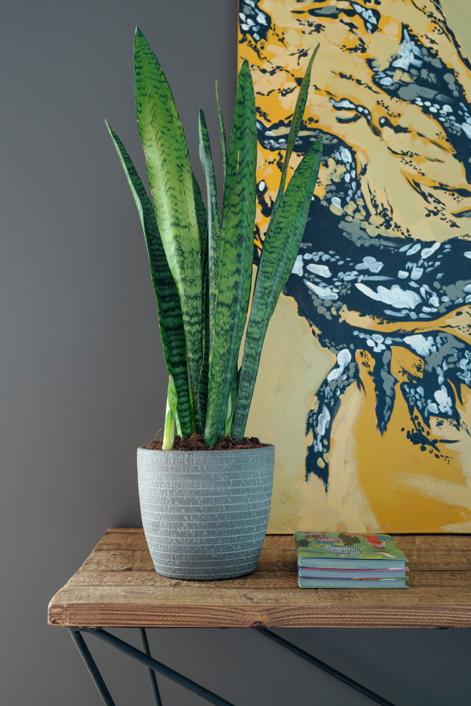 Традиции и современность