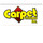 Carpet Fashions Inc.