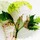 maroinca_lauridsen