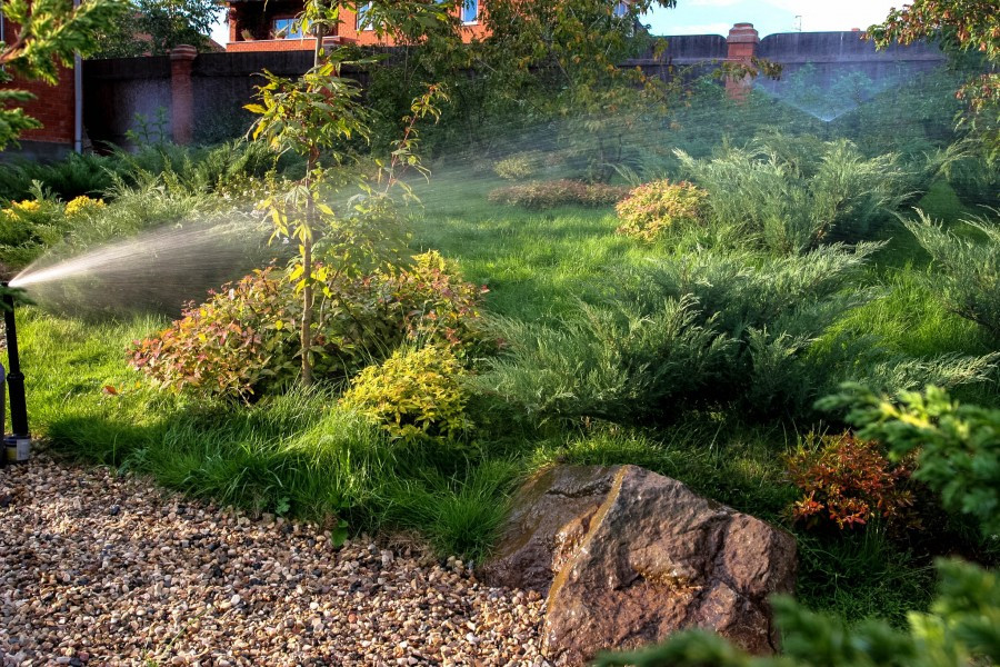 Полив в саду. Подмосковье.