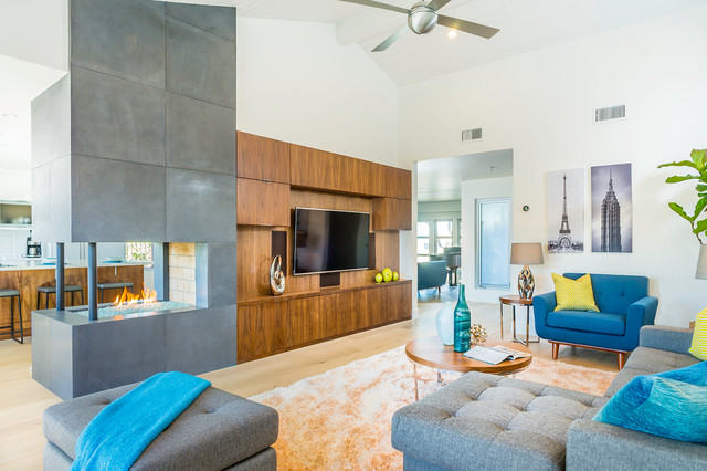 Captivating Mid Century contemporary-living-room
