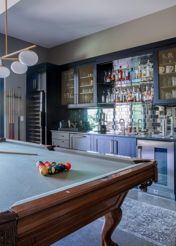 Barn Swallow Basement