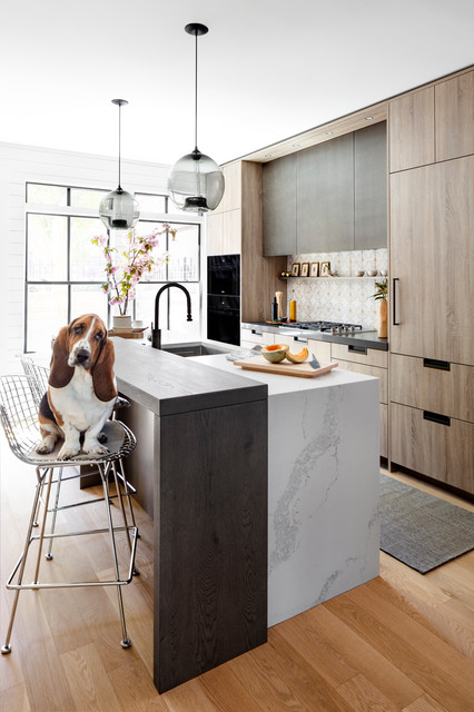 Old Town North Refresh modern-kitchen