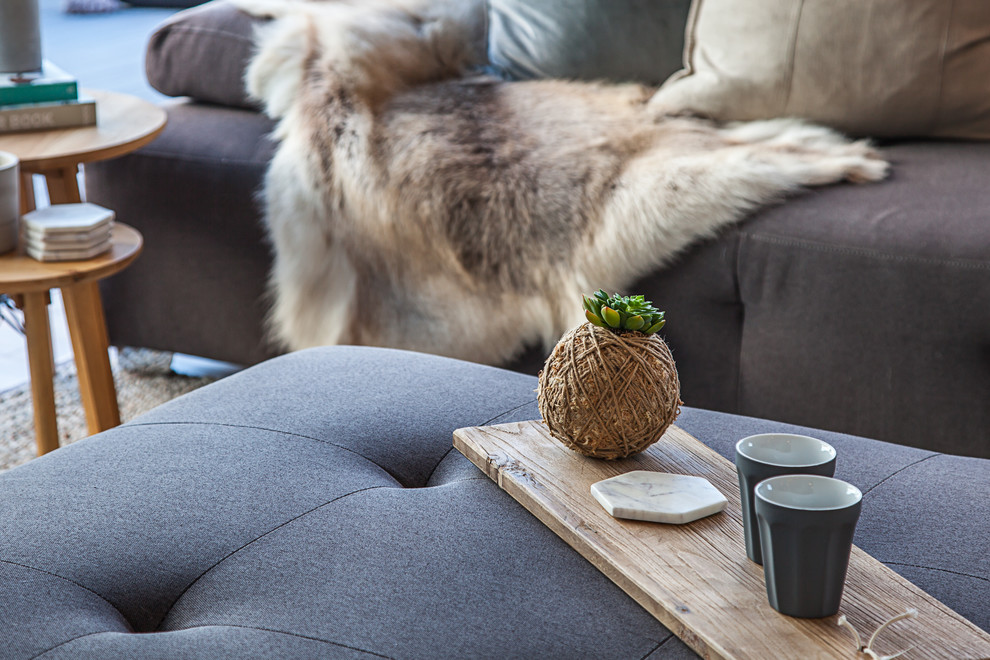 Mid-sized contemporary open concept living room in Hobart with white walls, medium hardwood floors and no tv.