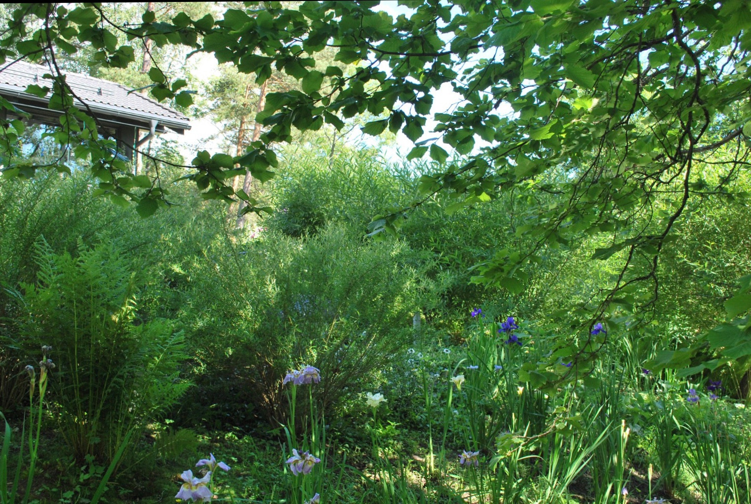 Сад натуралистического стиля