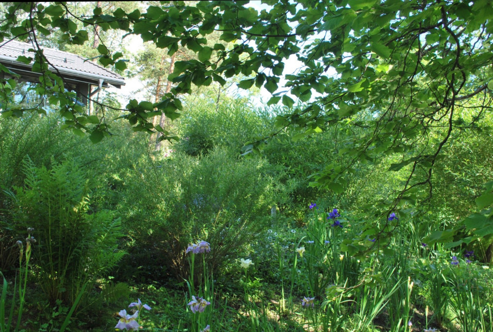 Сад натуралистического стиля