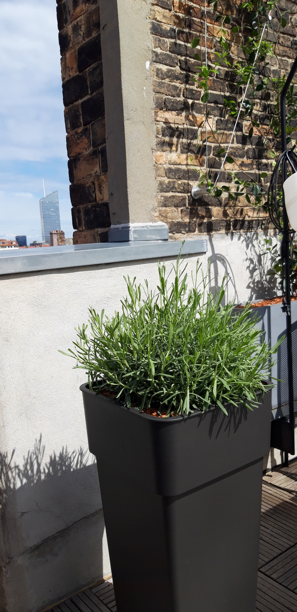 Aménagement d'une terrasse de 80m2