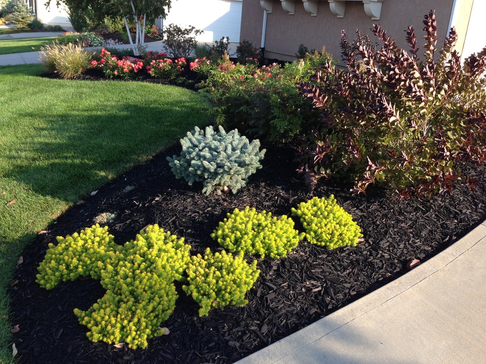 Landscapes Traditional Landscape Kansas City by Red Oak