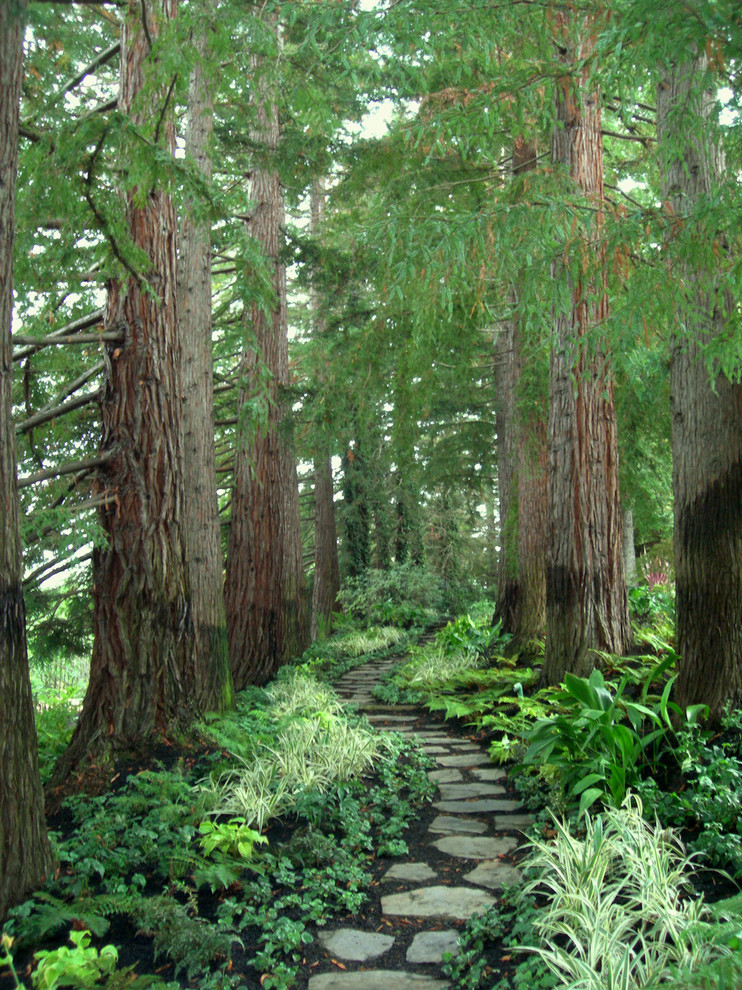 Design ideas for an expansive traditional backyard shaded garden in San Francisco with natural stone pavers.