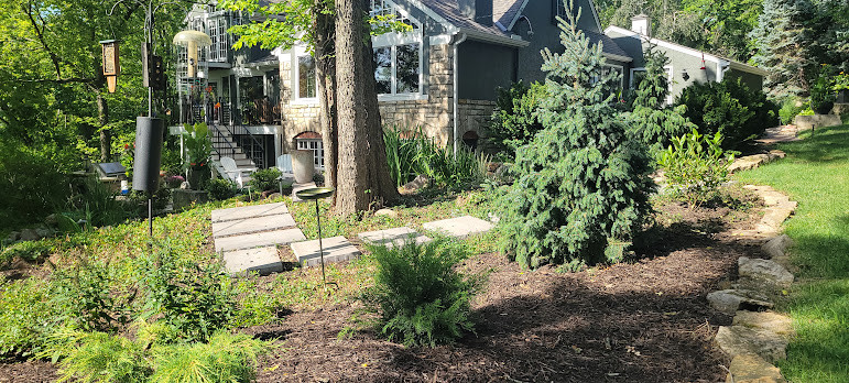 Woodland Restoration