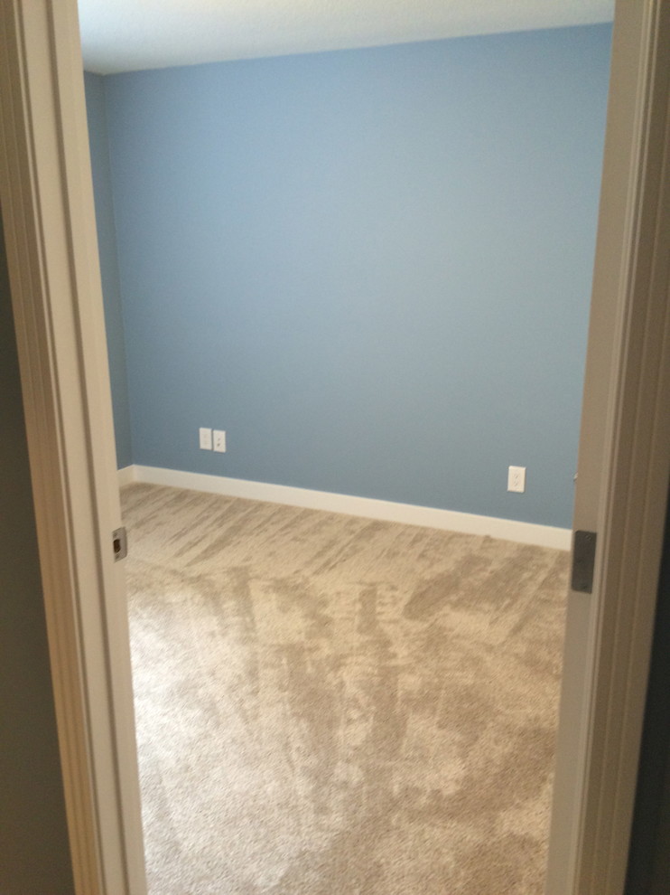Basement - mid-sized transitional look-out carpeted and brown floor basement idea in Calgary with gray walls and no fireplace