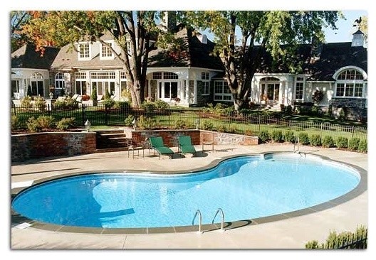 Backyard stone and custom-shaped pool photo
