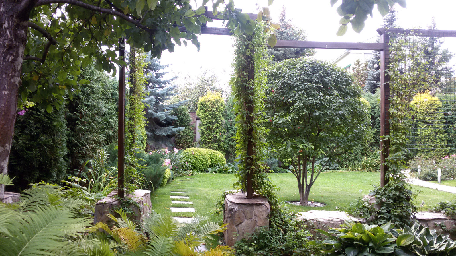 "Кленовый лист"