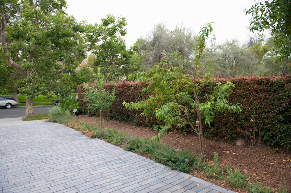 Large traditional xeriscape and private partial sun garden for winter in Los Angeles with brick paving.