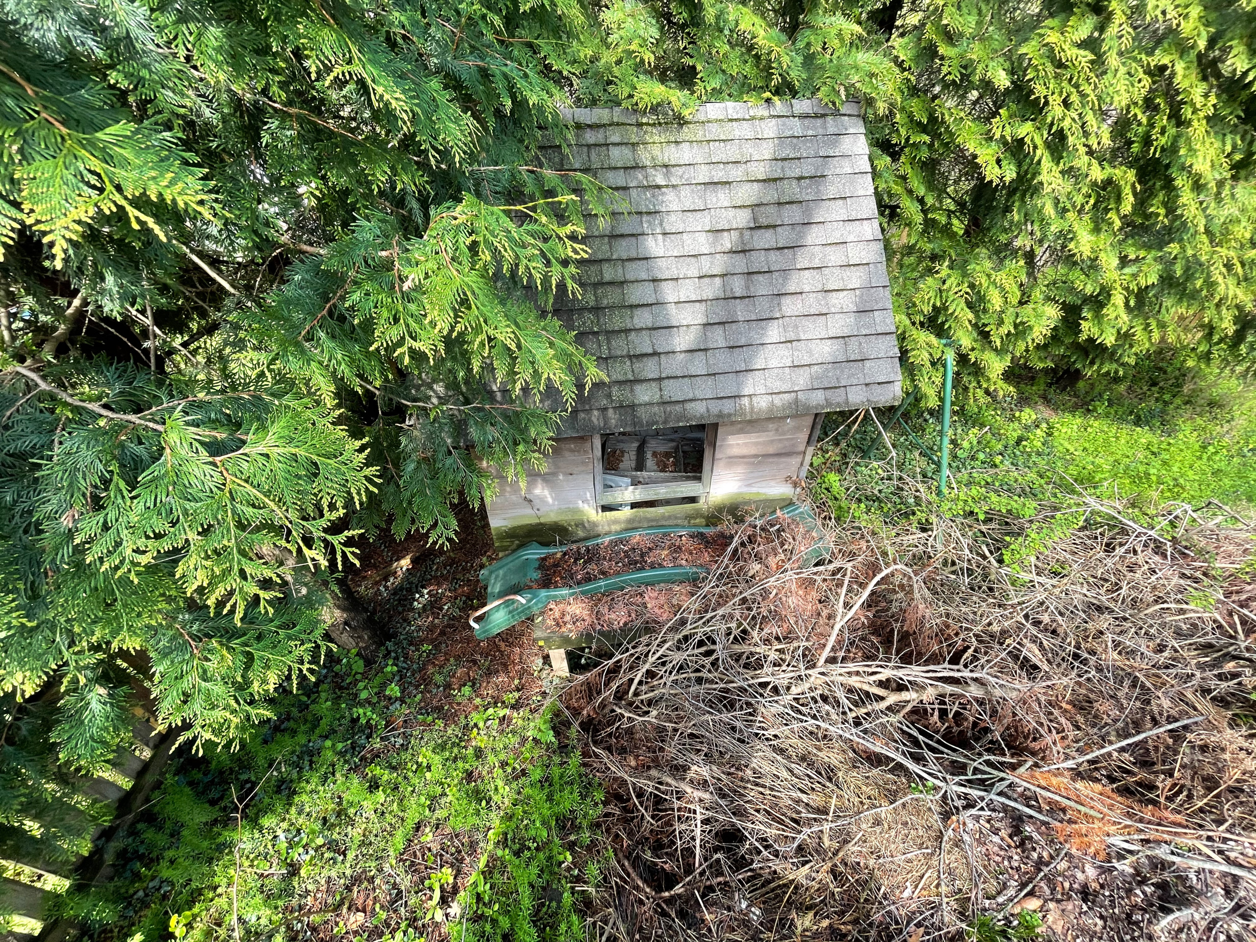 Playground demolition & bushes removal