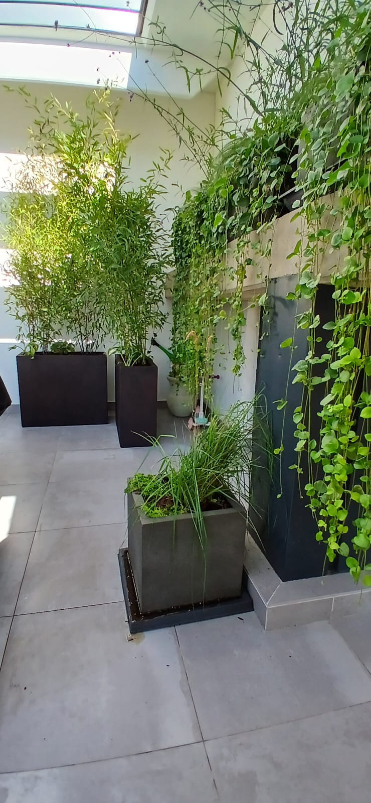 Realizzazione Wild in the city