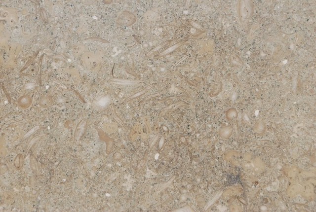Sea Grass Limestone Tiles, Polished Finish, 12"x12", Set of 40