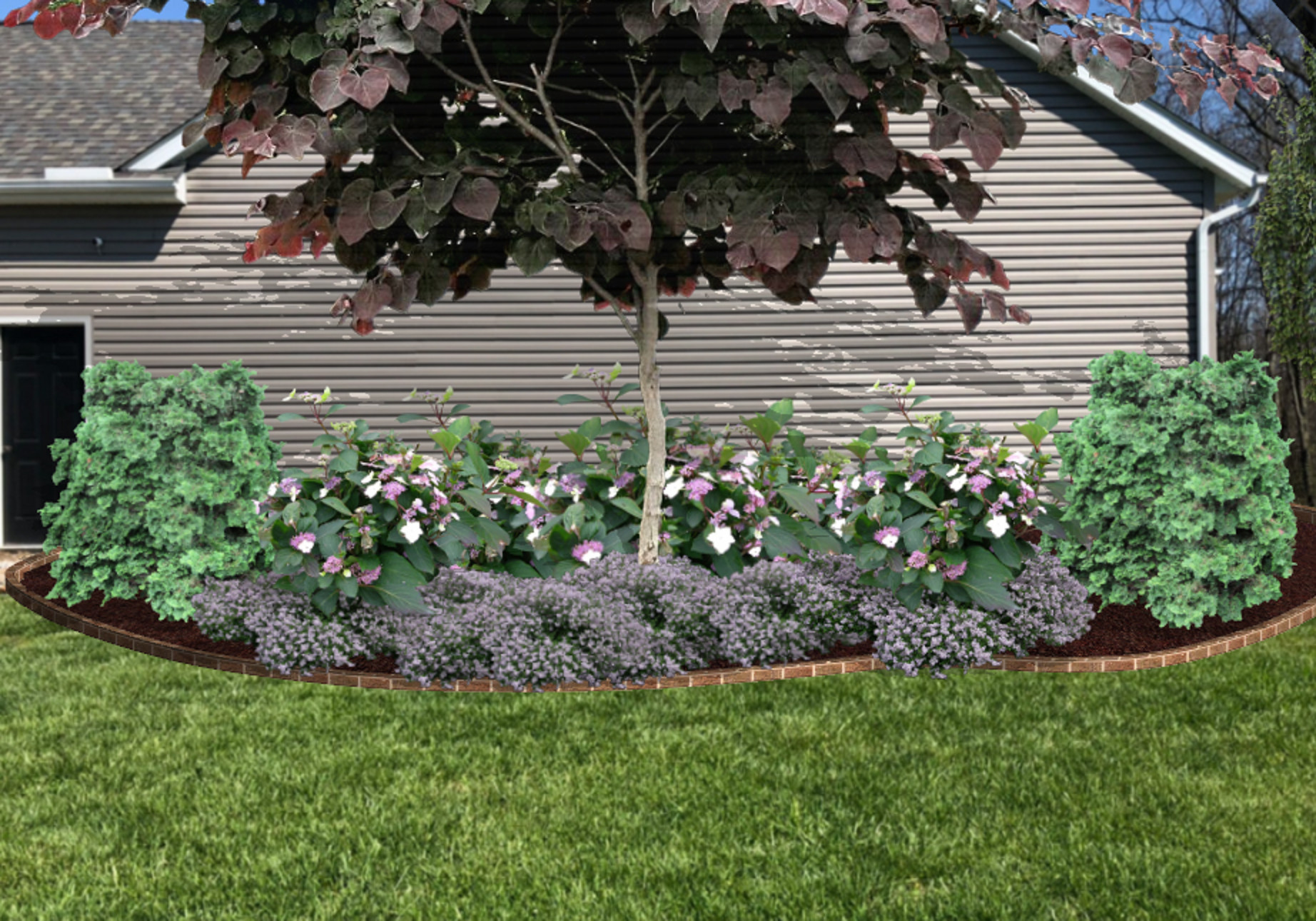 Foundation Plantings