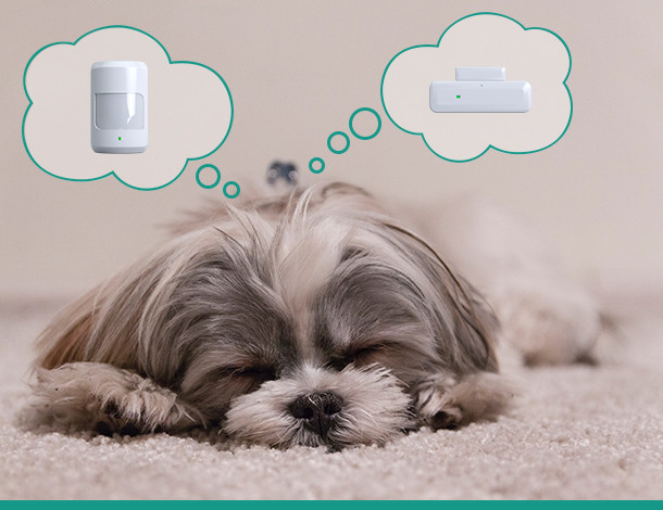 Мобильное приложение