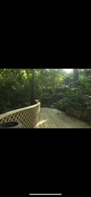 Curved, Shaded, Wooden Deck & Gazebo