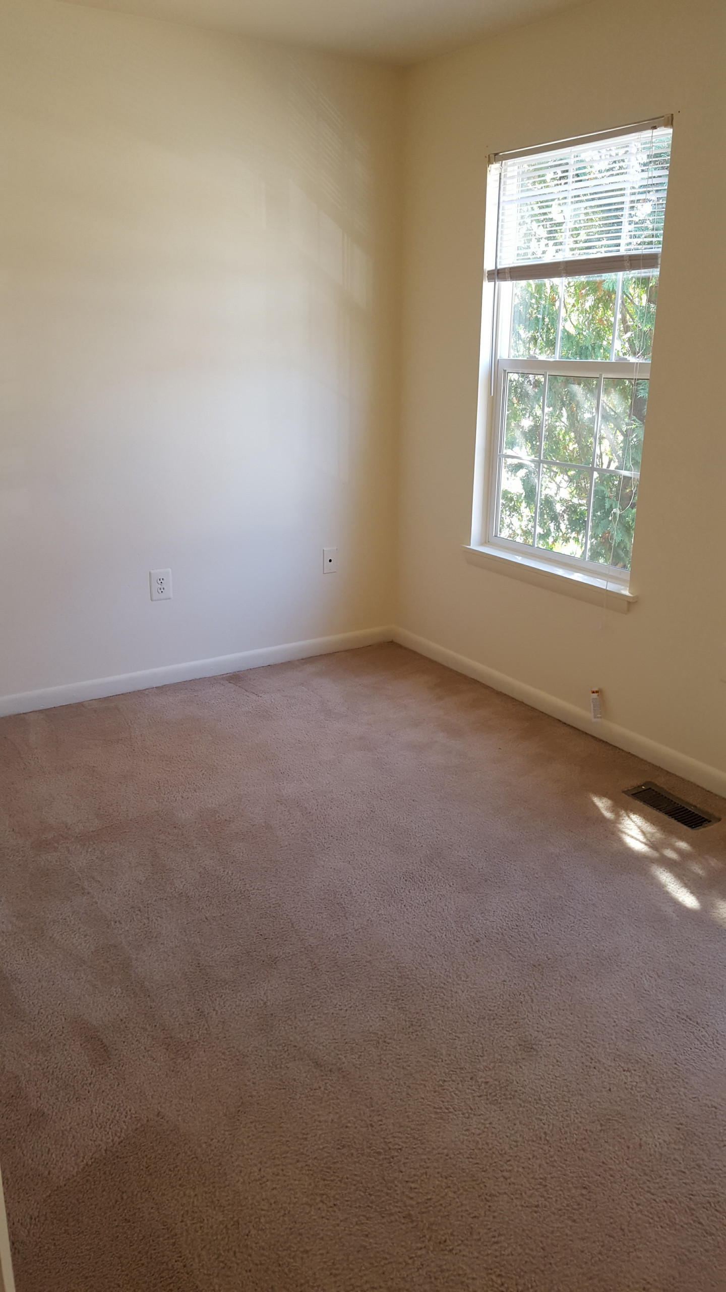 Entire Home Update/Remodel